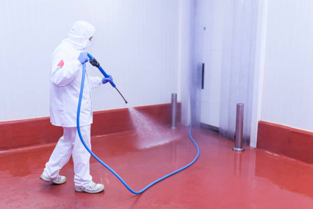 Best Pool Deck Cleaning  in Huntsville, TX